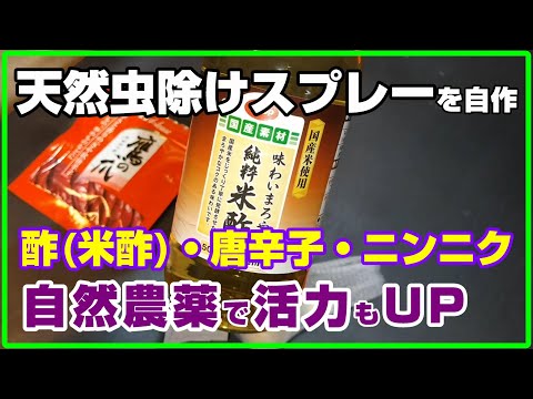 ミツバチにとって安全な自家製殺虫剤 オーガニックガーデニングレシピ