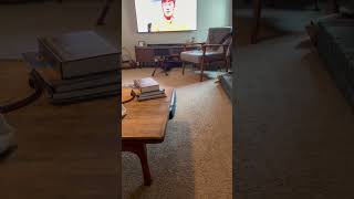 Video preview image #1 Australian Shepherd-Doberman Pinscher Mix Puppy For Sale in Virginia Beach, VA, USA