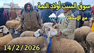 مباشرة من سوق السبت أولاد النمة الخروف الكسابي والحولي والحولية والنعجة تاريخ 14/2/2026 فرجة ممتعة 🐑