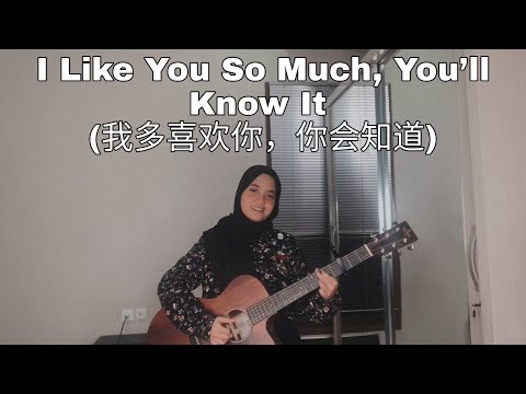 I Like You So Much, You’ll Know It (我多喜欢你，你会知道) - A Love So Beautiful OST [English Cover]
