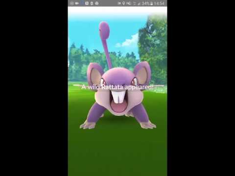 Pokèmon Go #14 EPIC Egg hatching!!!!