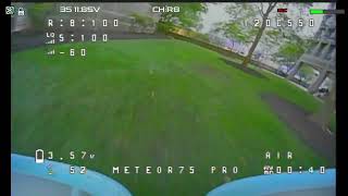 Download the video "garden party 2"