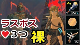 【ティアキン】ナベのフタでラスボスと戦ってみた【縛りプレイ】