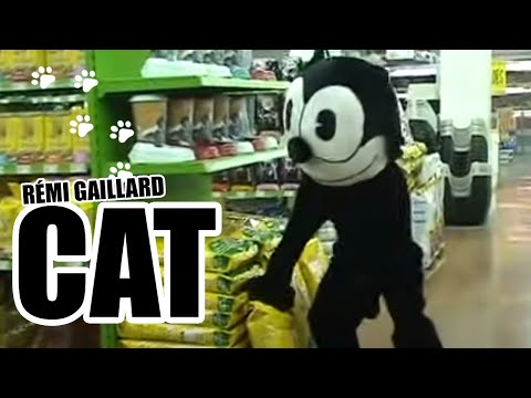 THE CAT (REMI GAILLARD)