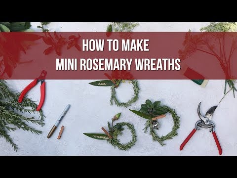 download lagu mp3 mp4 Rosemary Christmas Decorations, download lagu Rosemary Christmas Decorations gratis, unduh video klip Rosemary Christmas Decorations