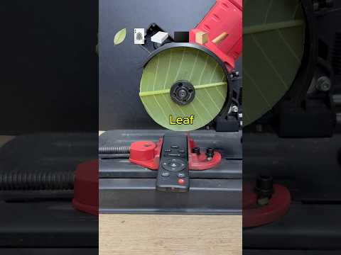 Stuff vs Remote Control