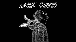 White Rabbits - DAVIDWITHTHELONGHAIR