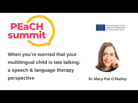 When you're worried that your multilingual child is late talking: an SLT perspective