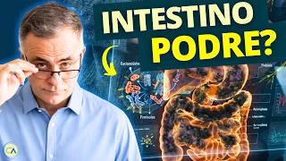 Comer à noite é pior que açúcar? Entenda a inflamação intestinal