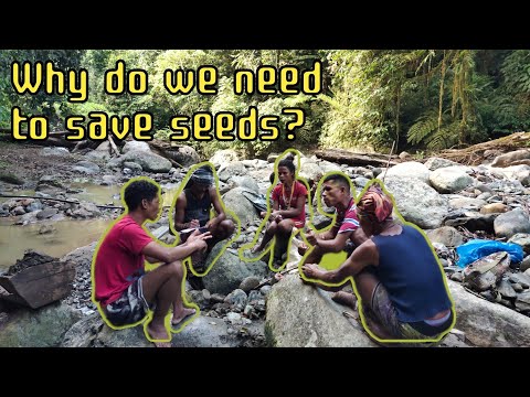 Reweaving future forests: Upland peoples mending forest fragmentations