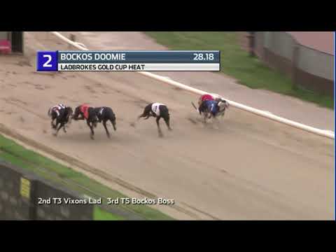 2020 LADBROKES GOLD CUP - HEAT 4 - T2 BOCKOS DOOMIE