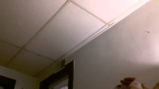 OCEAN OF THOUGHT.mp4