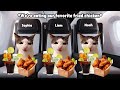 CAT MEMES FAMILY ROAD TRIP STORY THAILAND