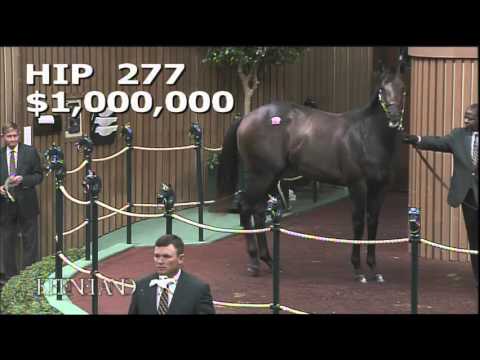 2015 September Yearling Sale - Hip 277 (Distorted Humor - Forest Music)