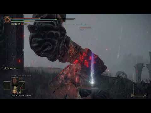 ELDEN RING SECRET BOSS IN CAELID