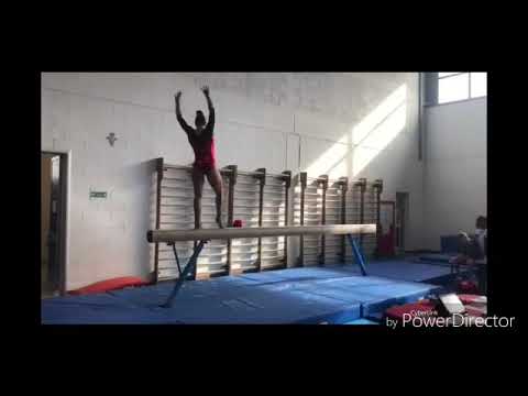 GINNASTICA - finale a squadre regionale LE-LE3 seconde classificate Centro Ginnico Pisano