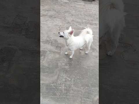 🖲😂❤😍🌗🌗 #dailyvloging