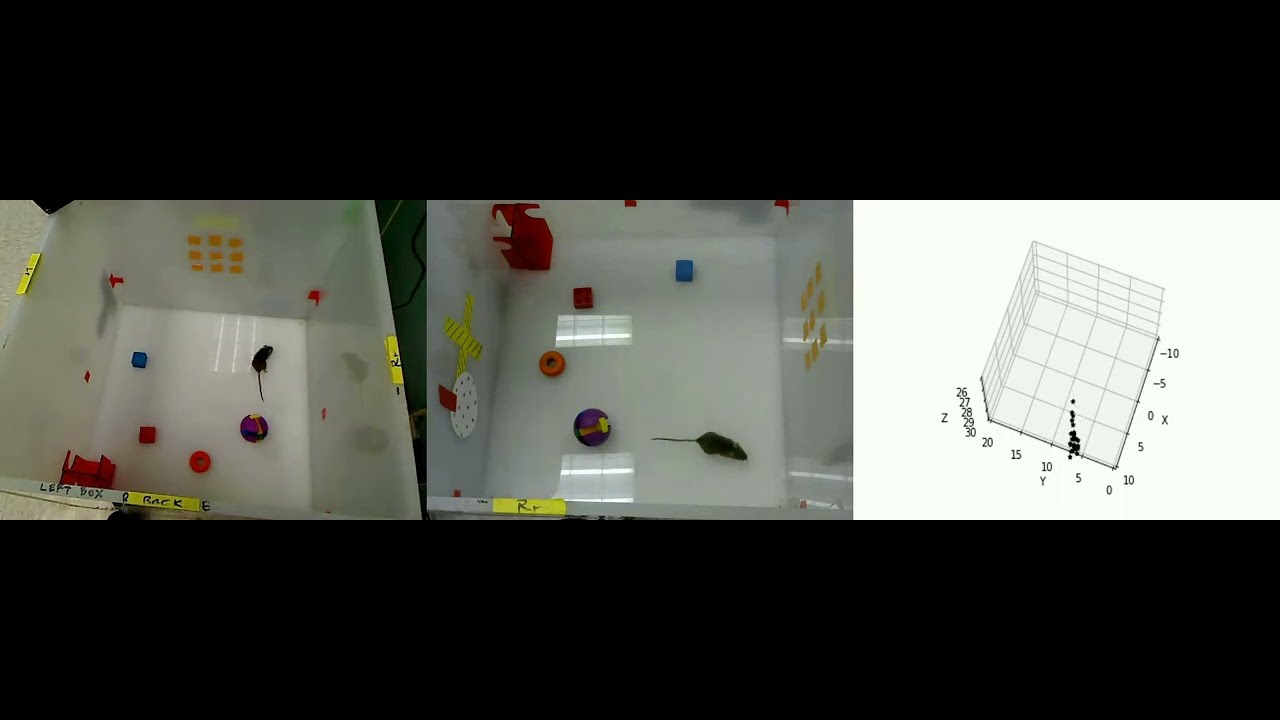 3D keypoint mouse tracking demo