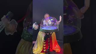 Magic Bubble Show