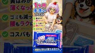 シニア犬とシニアな私の日常｜布製トイレシートを1か月使ってみた