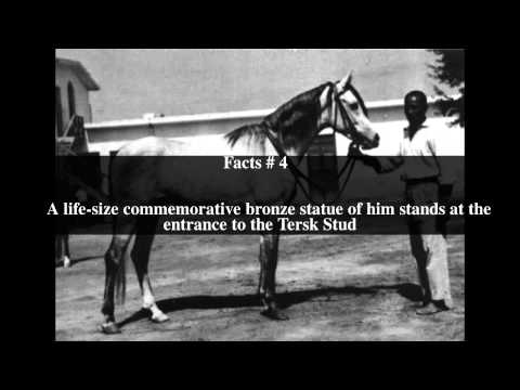 Aswan (horse) Top # 6 Facts