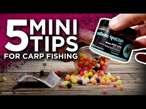 THESE CARP FISHING HOOKBAITS ARE A MUST- HAVE! 🔥