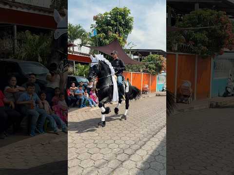 Desfile Hípico SanSeFer 2026, San Sebastián Retalhuleu #caballos #horses #caballosbailadores #cavalo