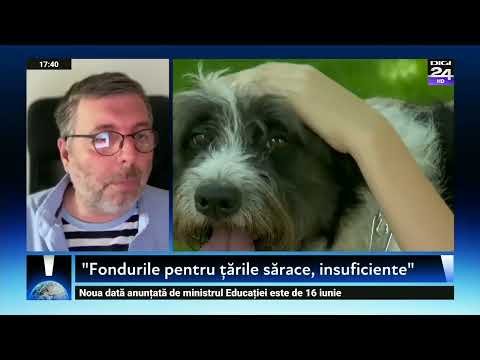 Planeta ești tu. Lista orașelor în pericol să se scufunde