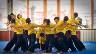 Download lagu [2020] Tianjin Wushu Team - 2nd Place - Basics Group Set - China National Wushu Taolu Competition mp3