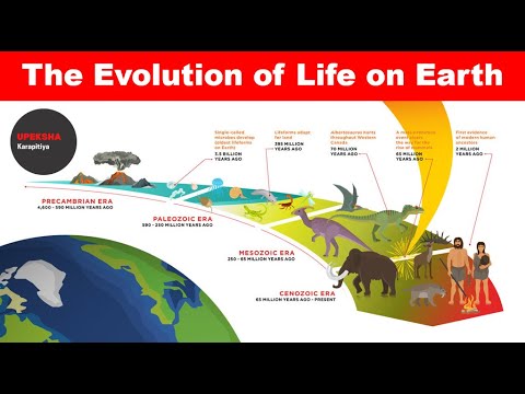 The Evolution of Life on Earth
