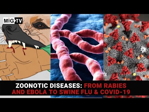 , title : 'Zoonotic diseases: From Rabies and Ebola to Swine Flu & Covid-19'