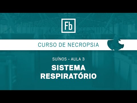 , title : 'Aula 03 - Sistema Respiratório em Suínos'