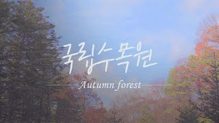[#숲ASMR] Autumn forest - 국립수목원에서 만난 가을