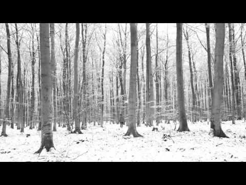 The stillness of silence - Snows Retreat, Tharpaland IRC