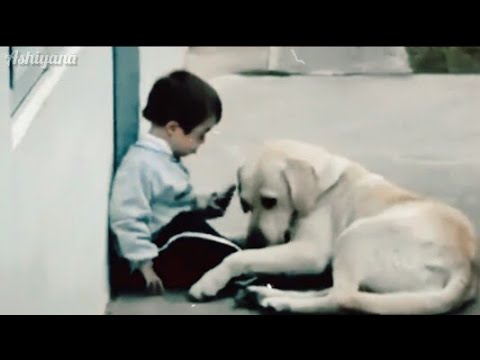 Beautiful Moment Of A Street Dog & A Child ।। Ashiyana Lyrics And Music