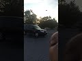 SeaGulls In Parking Lot Attacking A Man S Car