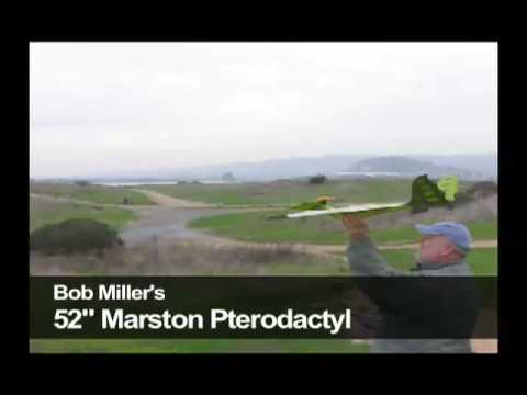Marston PteroWorks 52" Pterodactyl flight