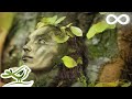 8 Heures De Musique Relaxante Mystérieuse Harpe Flûte Piano Et Cordes Pour Le Sommeil