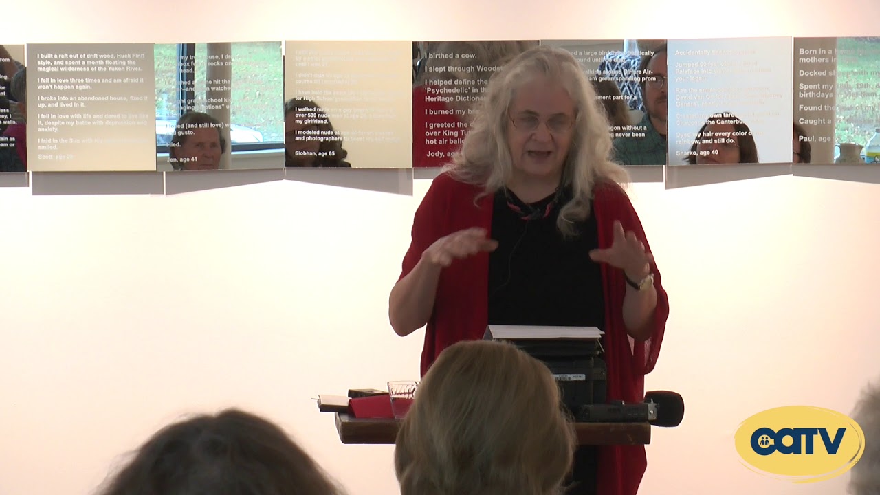 Janet Van Fleet Artist Talk