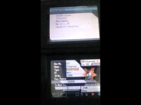 Pokerus-Pokemon Black 2