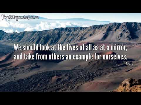 💧 Top 20 Quotes of Terence - Playwright