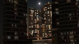 Download lagu Janganlah kau mencintaiku punya rasa rindu padaku #music mp3