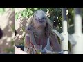 Ayesha Erotica Delicious Ft Britney Spears