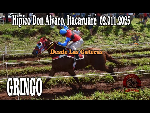 GRINGO - HIPICO DON ALVARO, ITACARUARE, MISIONES 02.11.2025