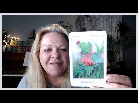 Your Daily Focus for July 26, 2019 through Tarot, Numerology and Astrology