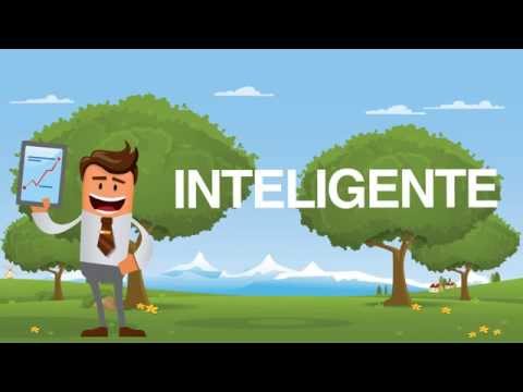 Videominiaturansicht des Artikels