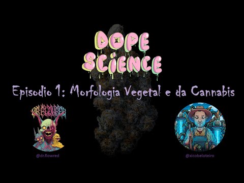 DOPE SCIENCE - Ep. 1: Morfologia da Cannabis