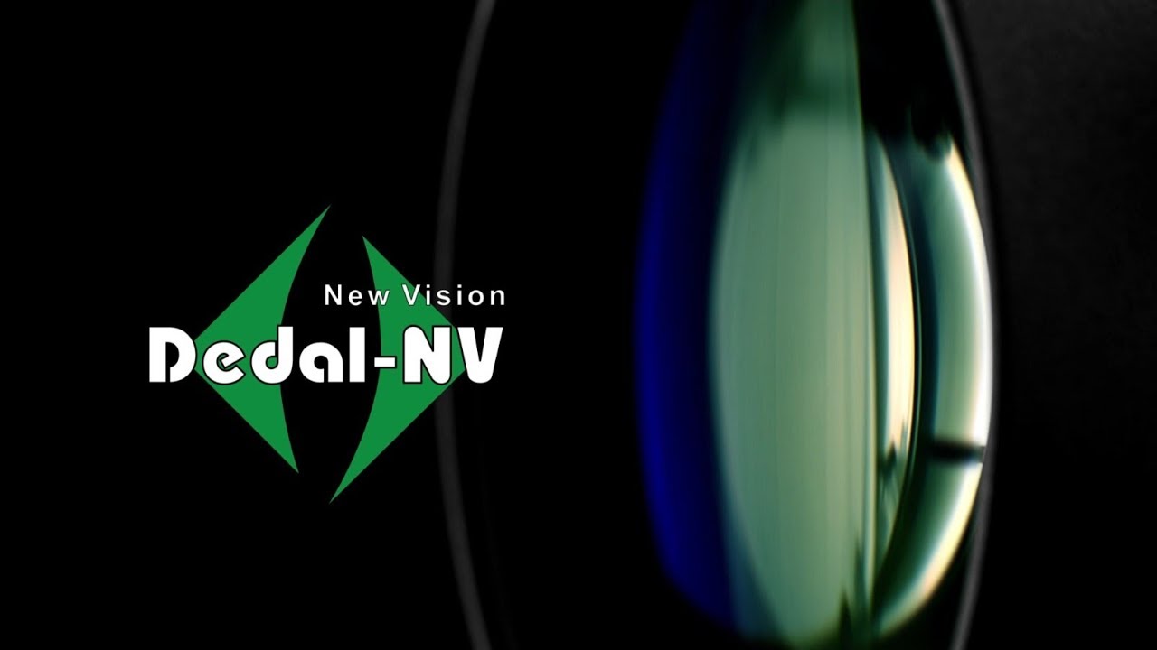 About DEDAL-NV company