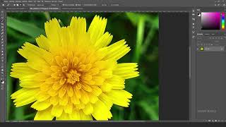 Photoshop. Sihirli Değnek Aracı, Magic Wand Tool nedir, nasıl kullanılır? Ders 11