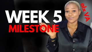 Week 5 Milestone: ALX Virtual Assistant – Research & Meetings